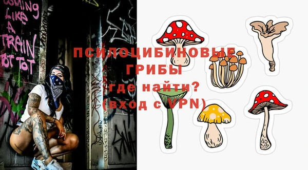 гидропоника Богородск