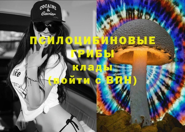 спайс Богородицк