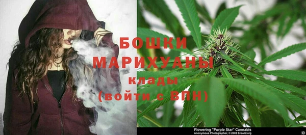 mix Бородино