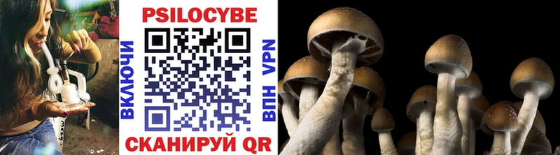 Псилоцибиновые грибы Magic Shrooms  где можно купить наркотик  omg зеркало  Верхняя Тура 